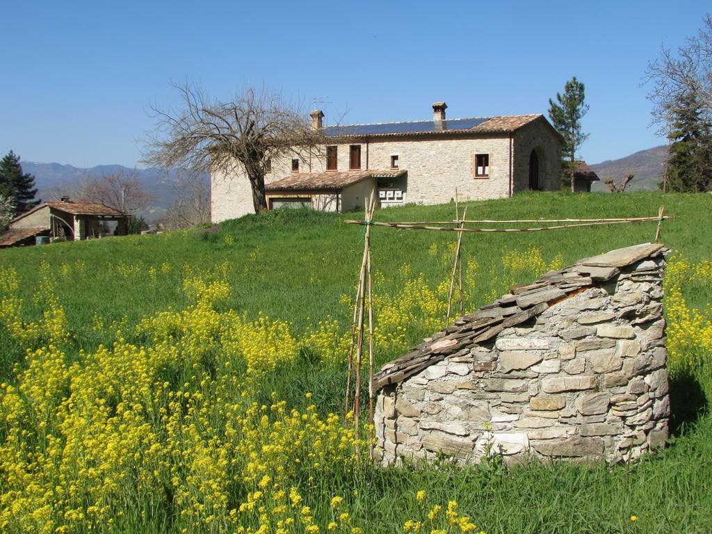 Il Gelso Room&Breakfast Pennabilli Exterior photo