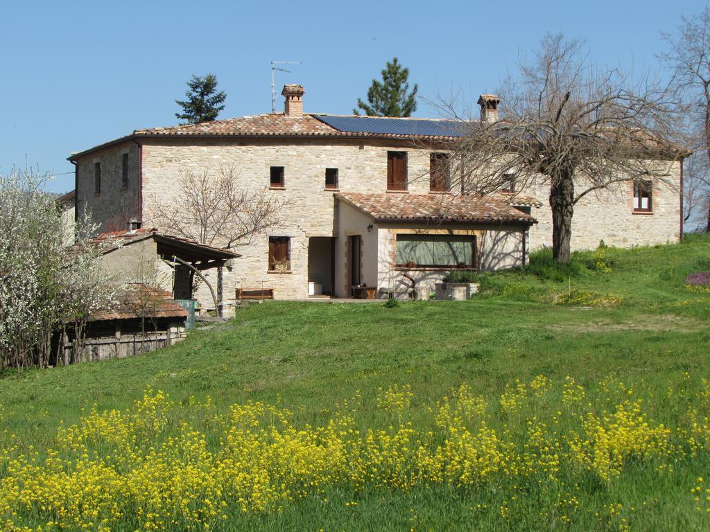 Il Gelso Room&Breakfast Pennabilli Exterior photo